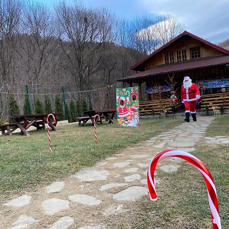Casutele Doftanei Lägenhet Teşila Exteriör bild