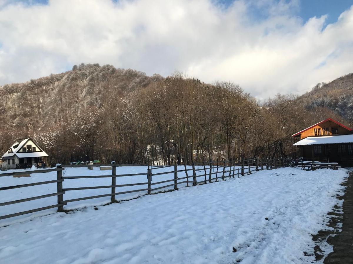 Casutele Doftanei Lägenhet Teşila Exteriör bild