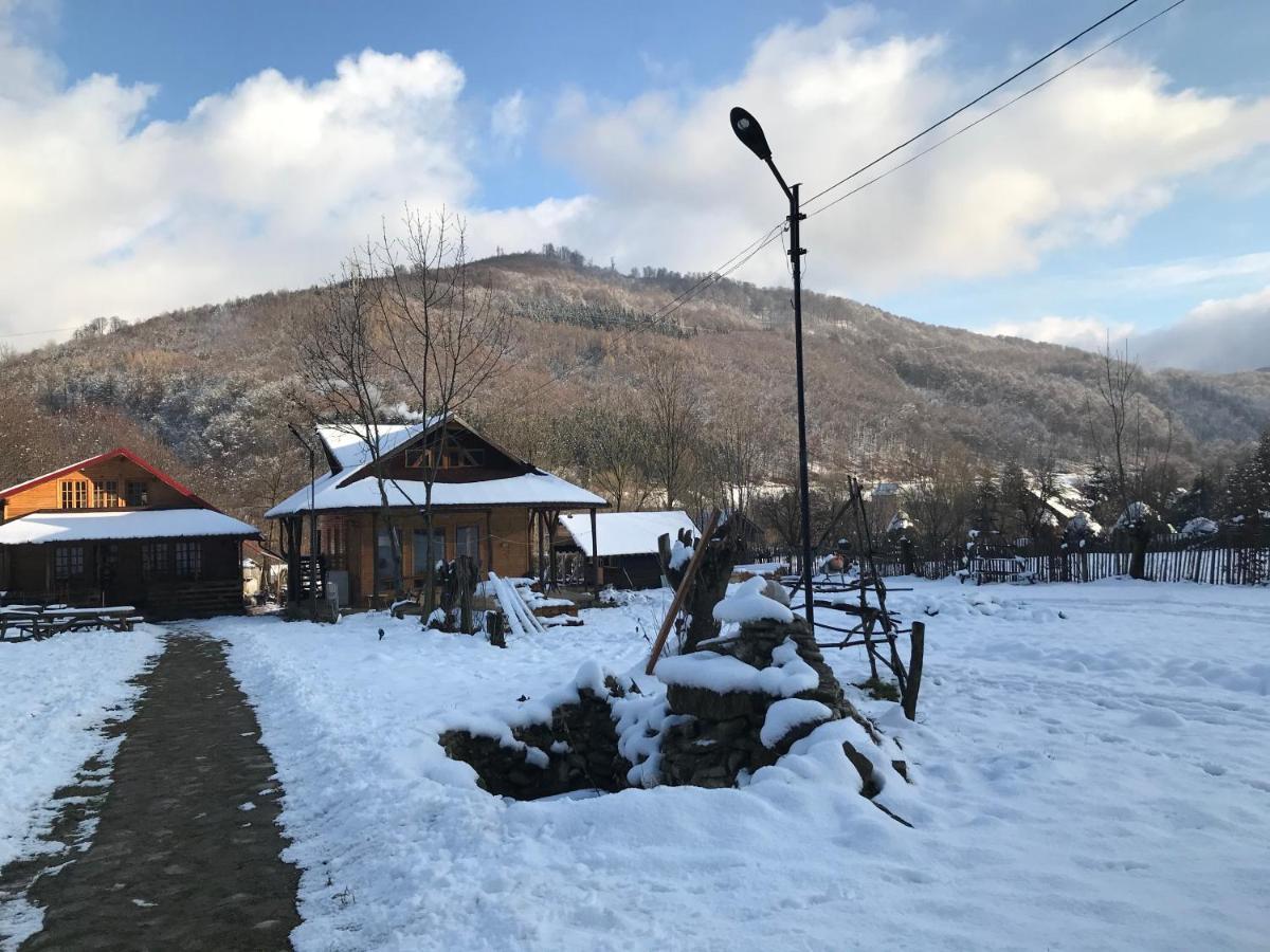 Casutele Doftanei Lägenhet Teşila Exteriör bild
