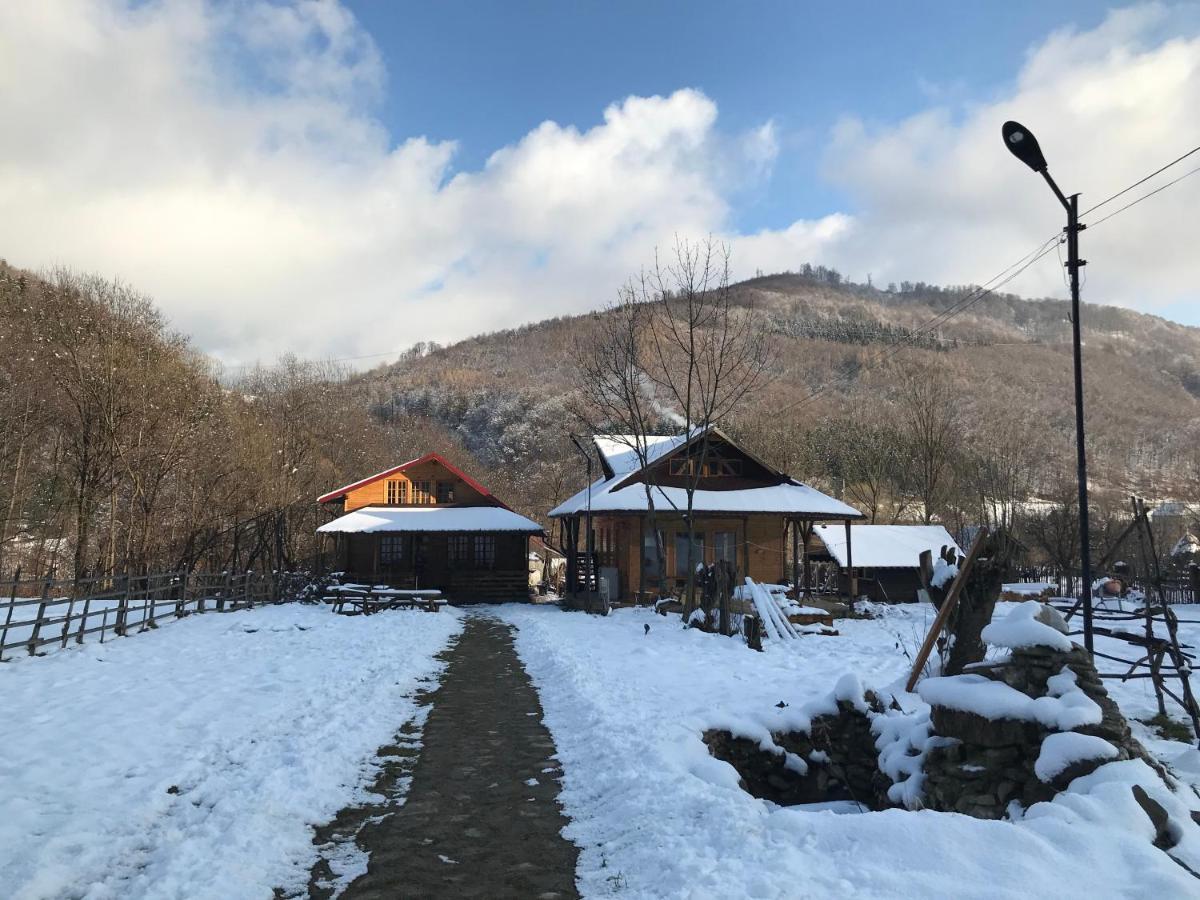 Casutele Doftanei Lägenhet Teşila Exteriör bild