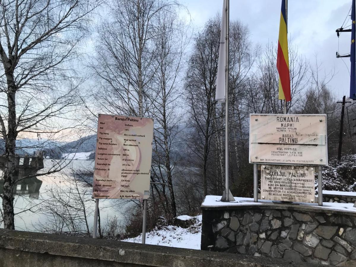 Casutele Doftanei Lägenhet Teşila Exteriör bild