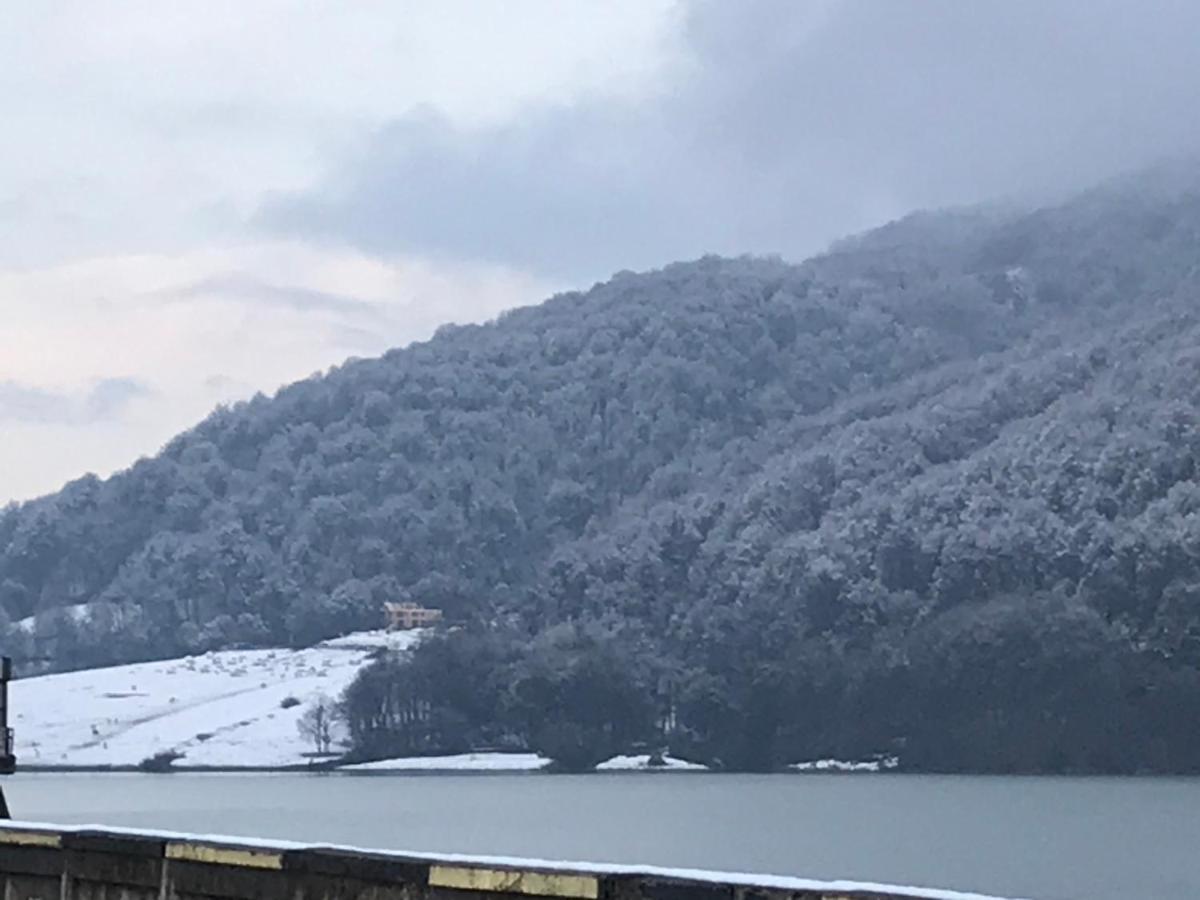 Casutele Doftanei Lägenhet Teşila Exteriör bild
