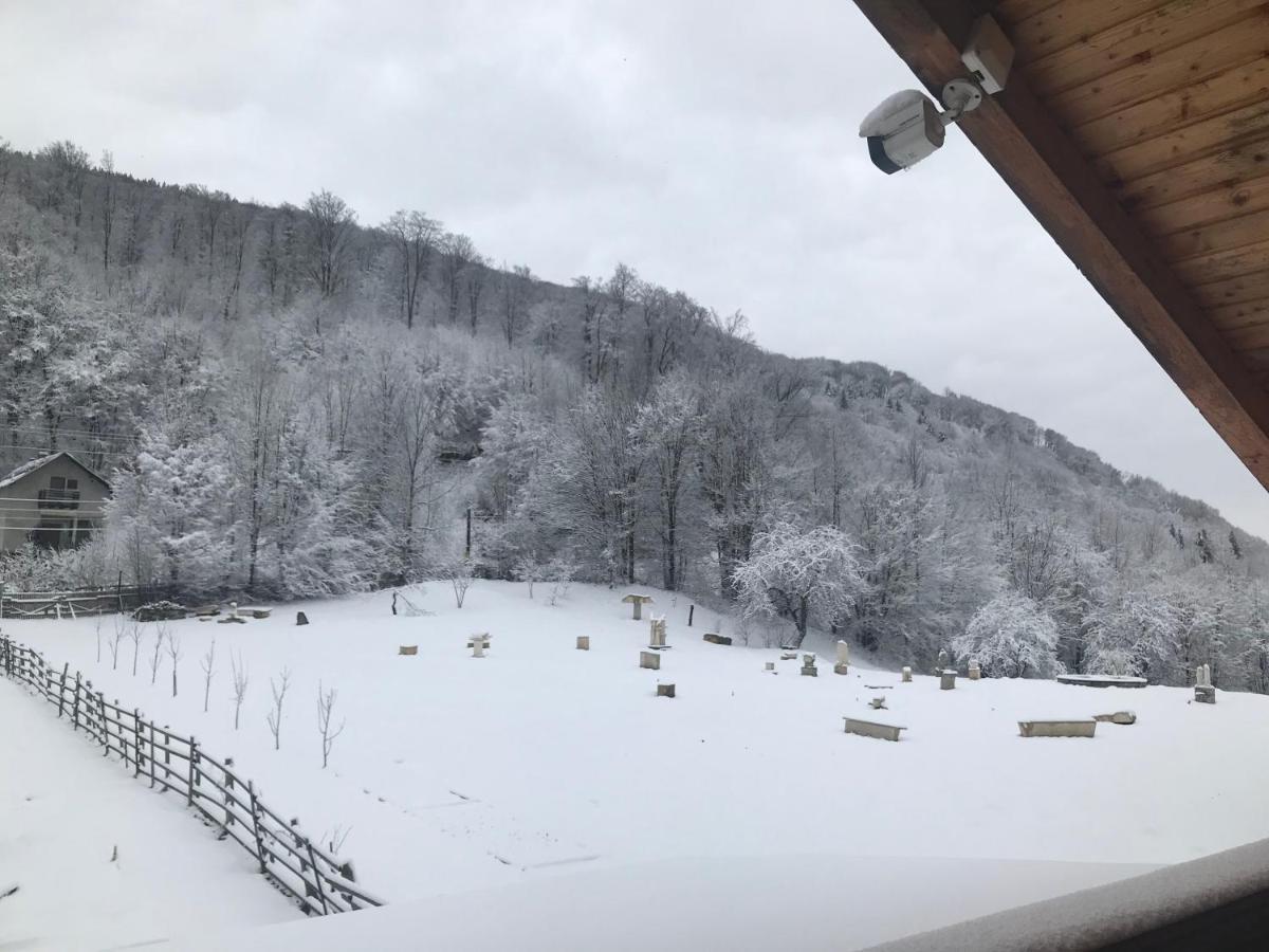 Casutele Doftanei Lägenhet Teşila Exteriör bild