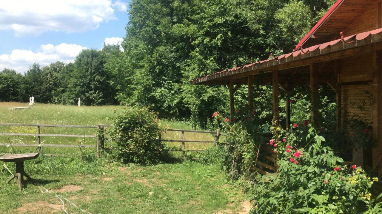 Casutele Doftanei Lägenhet Teşila Exteriör bild
