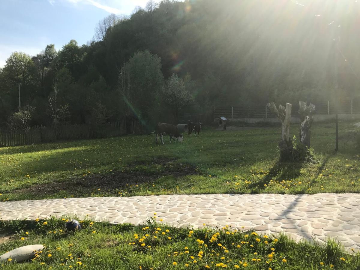 Casutele Doftanei Lägenhet Teşila Exteriör bild